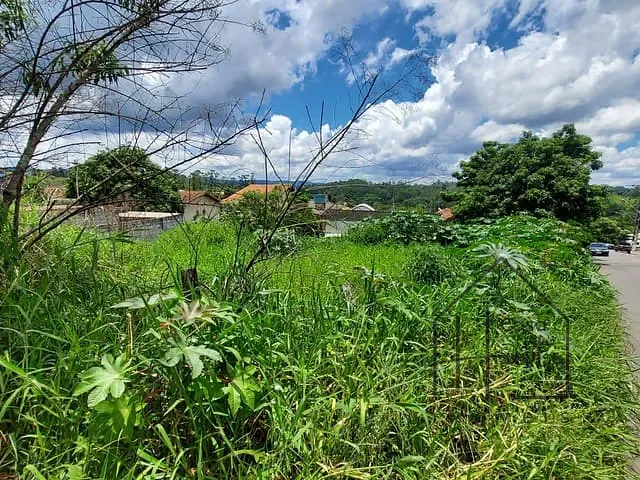 Terreno com 200m², à venda, no bairro Jardim Japão (Caucaia do Alto) em Cotia