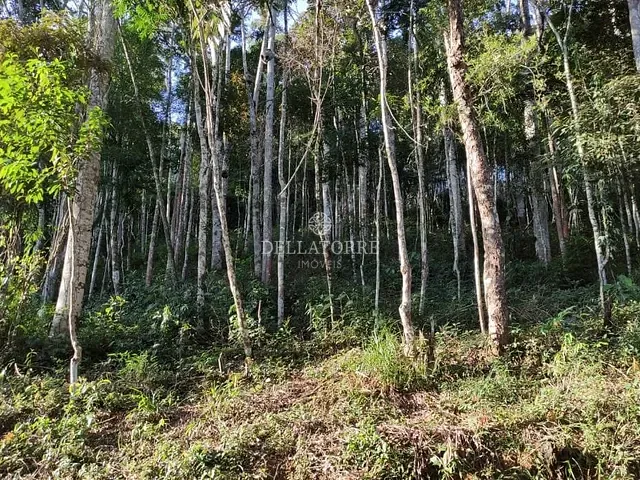 Terreno com 1750m², à venda, no bairro Parque do Imbui em Teresópolis