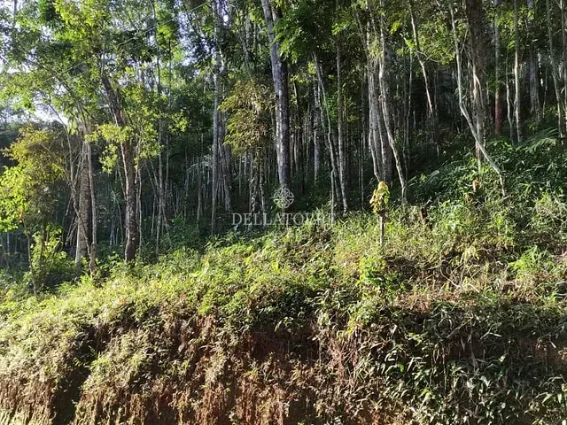 Terreno com 1750m², à venda, no bairro Parque do Imbui em Teresópolis