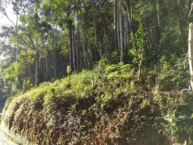 Terreno com 1750m², à venda, no bairro Parque do Imbui em Teresópolis