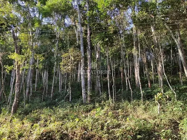 Terreno com 1750m², à venda, no bairro Parque do Imbui em Teresópolis