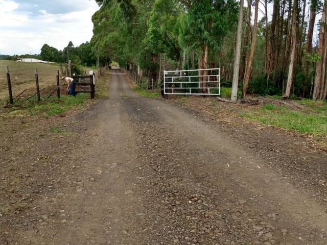 Terreno com 3630000m², à venda, no bairro Centro em Ortigueira