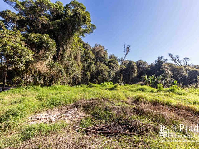 Terreno com 6972m², à venda, no bairro Del Rey em São José dos Pinhais