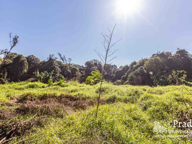 Terreno com 6972m², à venda, no bairro Del Rey em São José dos Pinhais