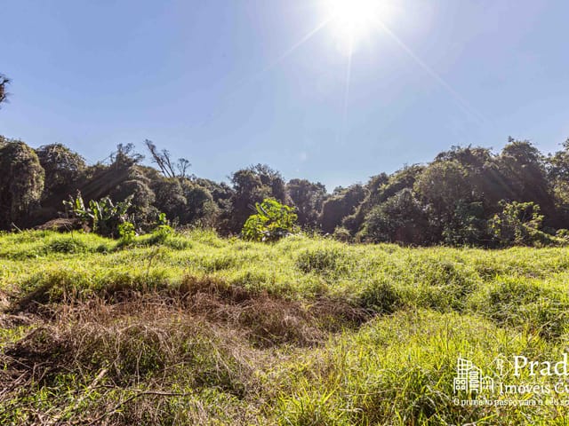 Terreno com 6972m², à venda, no bairro Del Rey em São José dos Pinhais