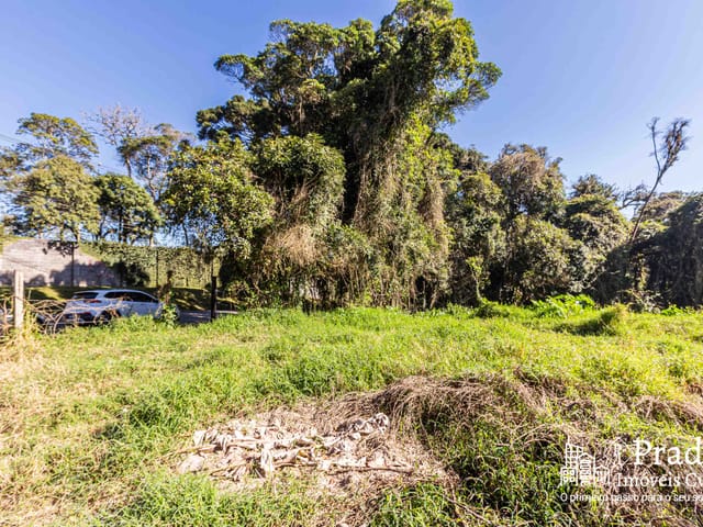 Terreno com 6972m², à venda, no bairro Del Rey em São José dos Pinhais