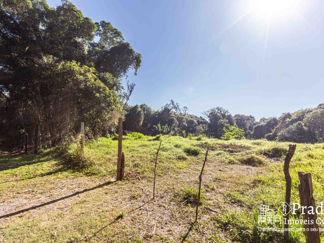 Terreno com 6972m², à venda, no bairro Del Rey em São José dos Pinhais