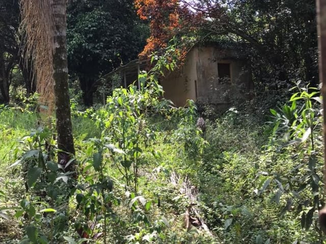Terreno com 5000m², à venda, no bairro São Geraldo em Juiz de Fora