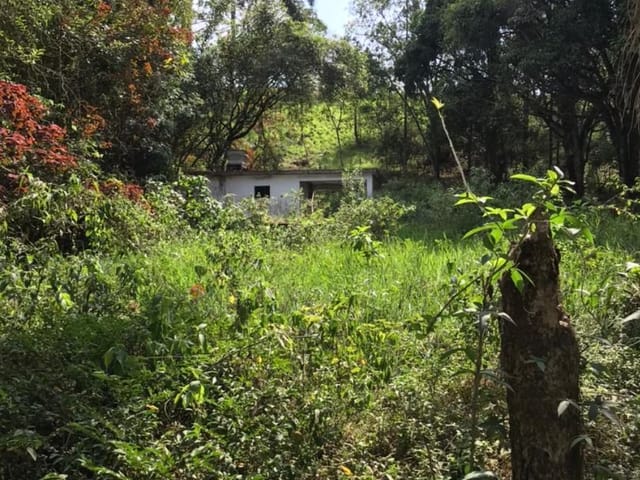 Terreno com 5000m², à venda, no bairro São Geraldo em Juiz de Fora