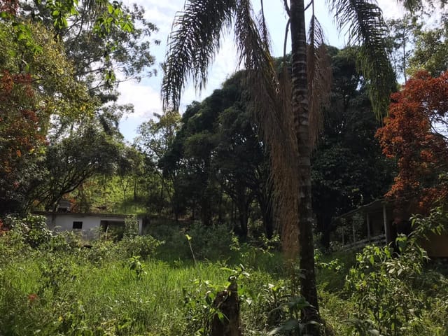 Terreno com 5000m², à venda, no bairro São Geraldo em Juiz de Fora