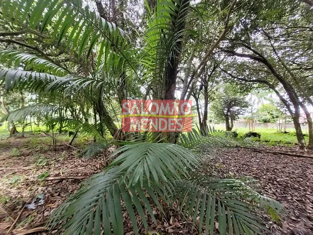 Terreno com 35000m², à venda ou para alugar, no bairro COQUEIRO em Belém