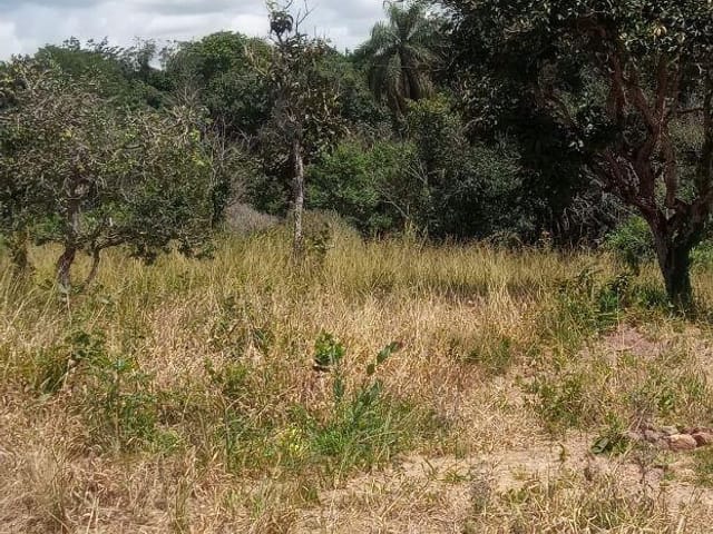 Foto do Terreno - Excelente Terreno para Chácara próximo Araxá, apenas 20 minutos | Yes Gestão Imobiliária