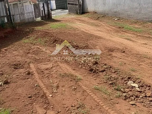 Terreno com 1050m², à venda, no bairro Vila Paulistana em São Paulo