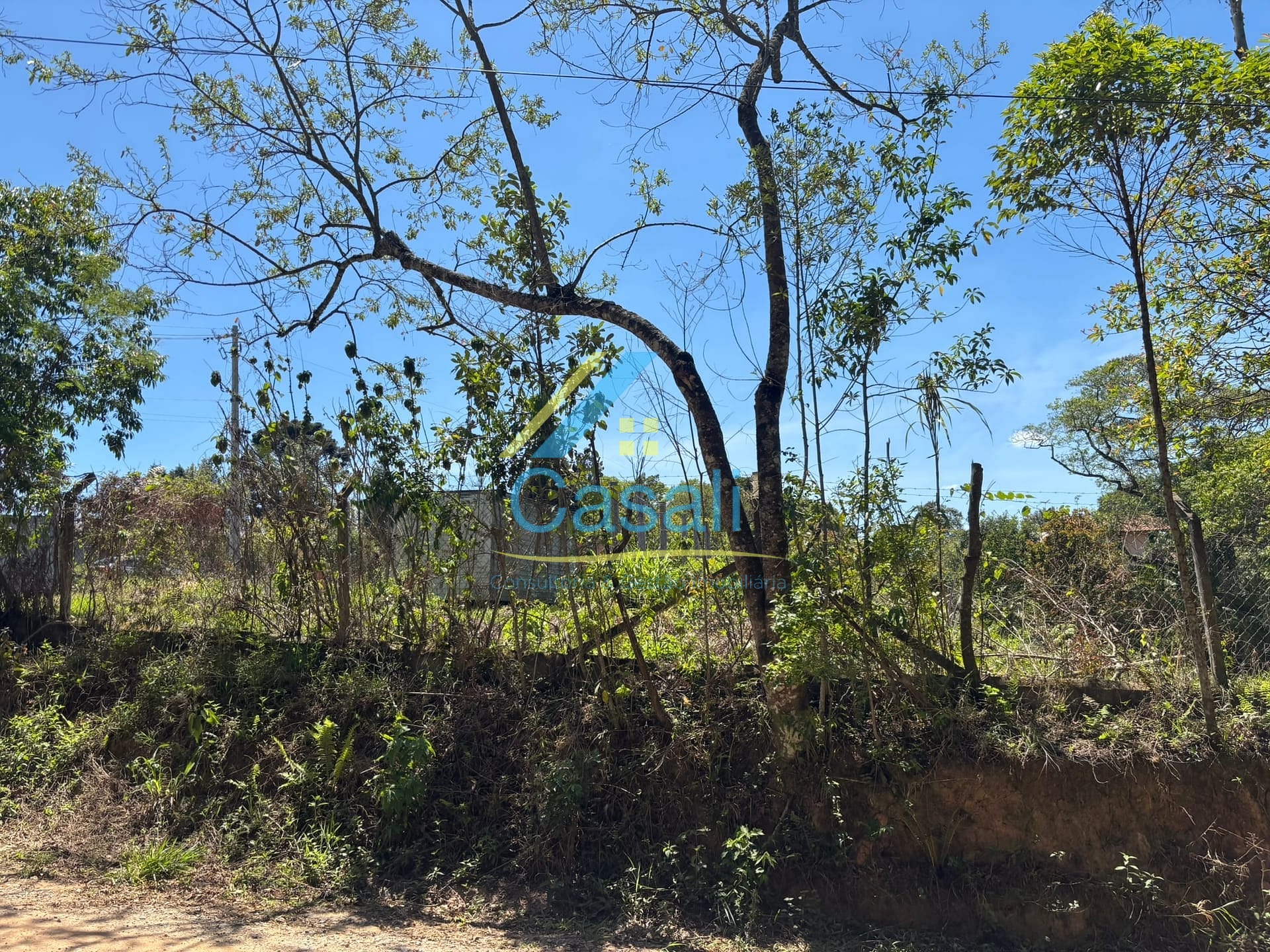 Terreno, 1500 m² - Foto 6