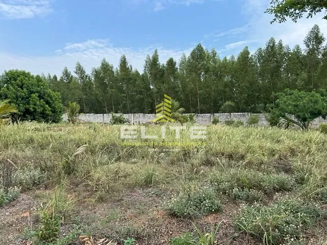 Terreno com 880m², à venda, no bairro Área Rural de Sorriso em Sorriso