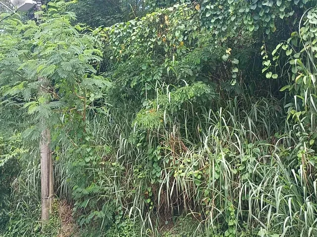 Terreno com 240m², à venda, no bairro Barreira em Guapimirim