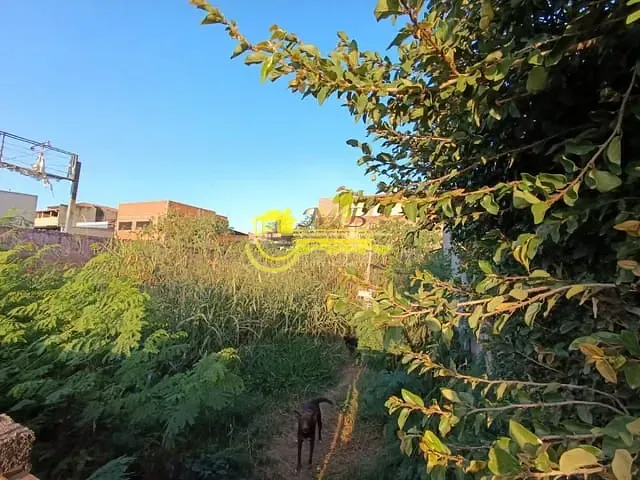 Terreno com 265m², à venda, no bairro Vila Aeroporto em Campinas
