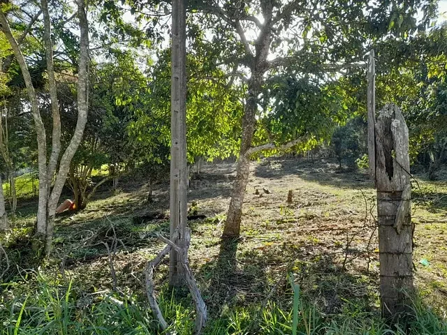 Terreno com 6000m², à venda, no bairro Jardim Itaquera (Santa Luzia) em Ribeirão Pires