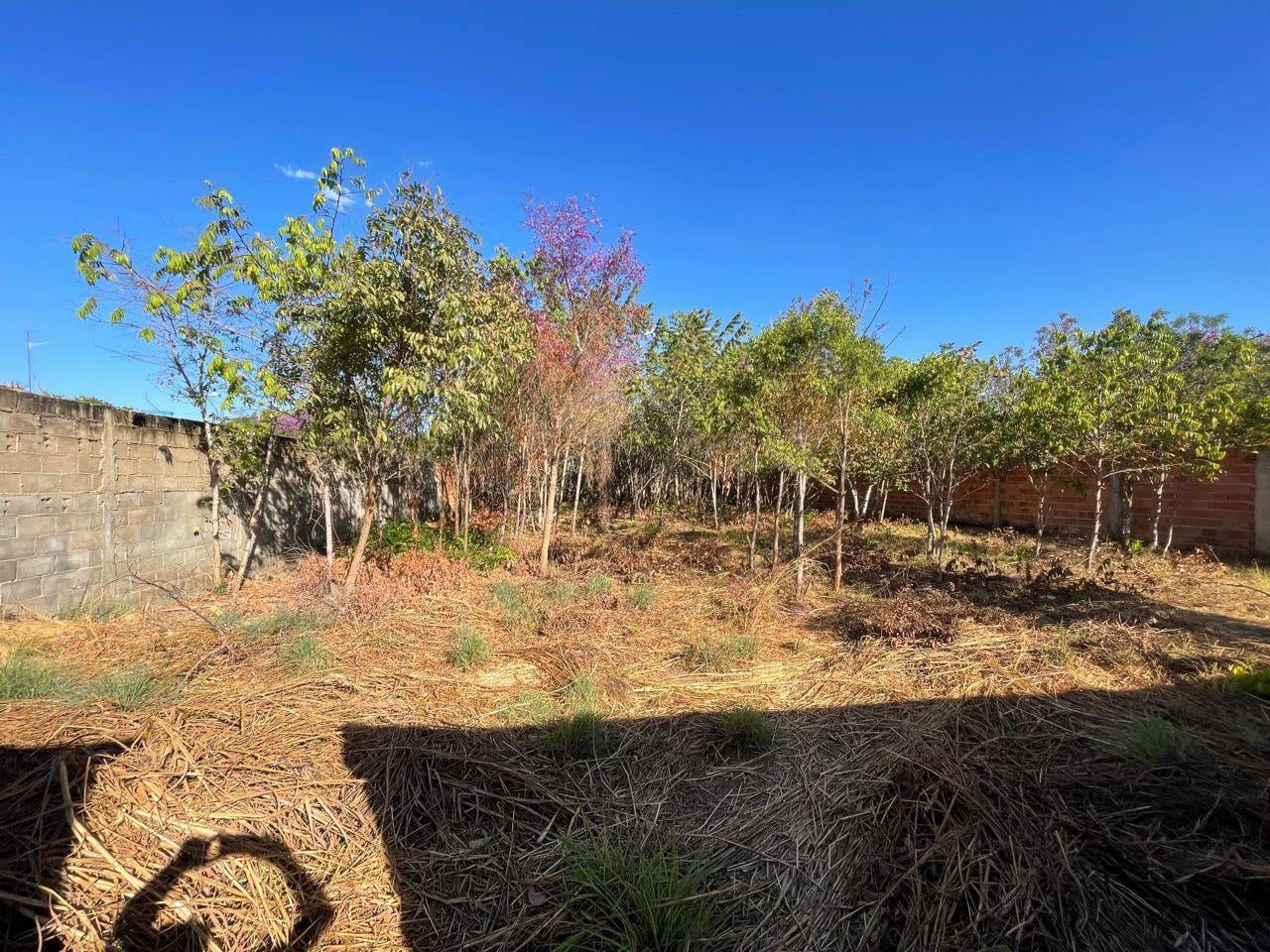 Terreno à venda, 10m² - Foto 2