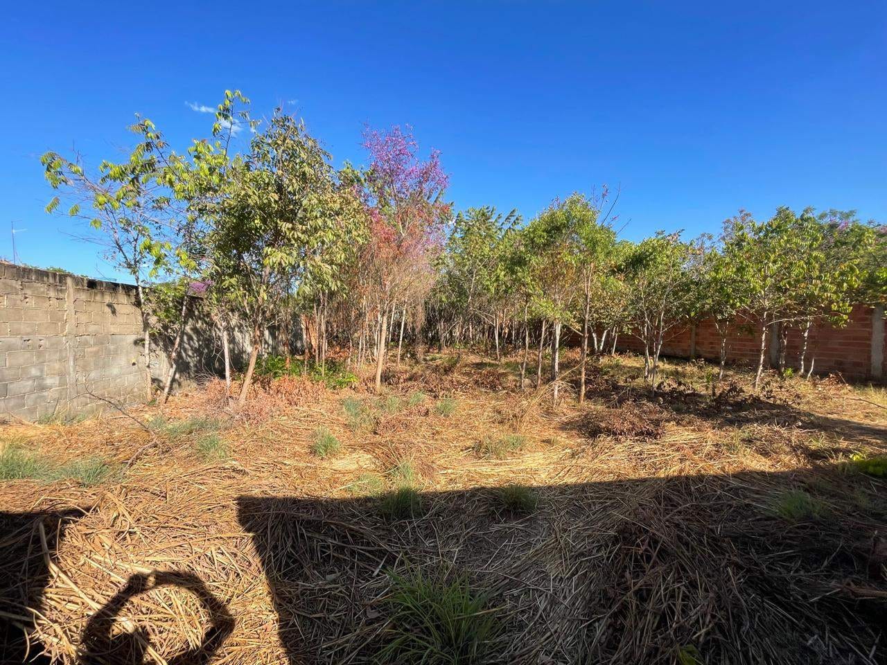 Terreno à venda, 10m² - Foto 5