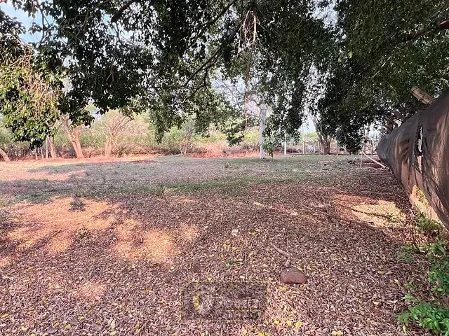 Terreno com 2317m², à venda, no bairro Parque dos Ipês em Holambra