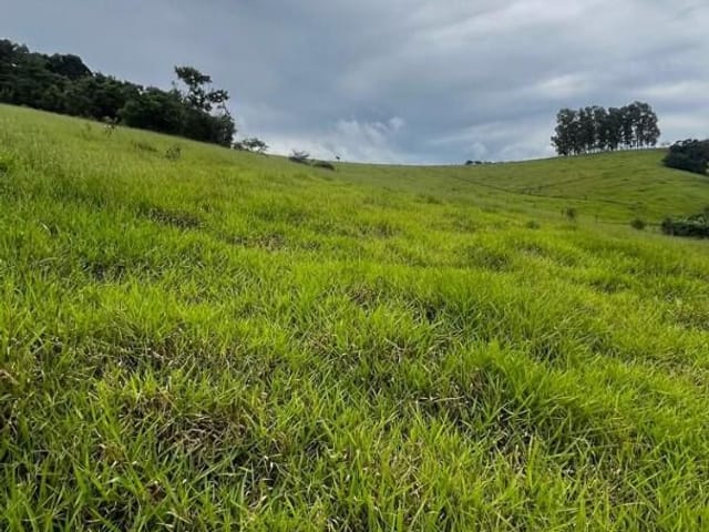 Terreno com 3000m², à venda, no bairro Água Branca em Cambuí