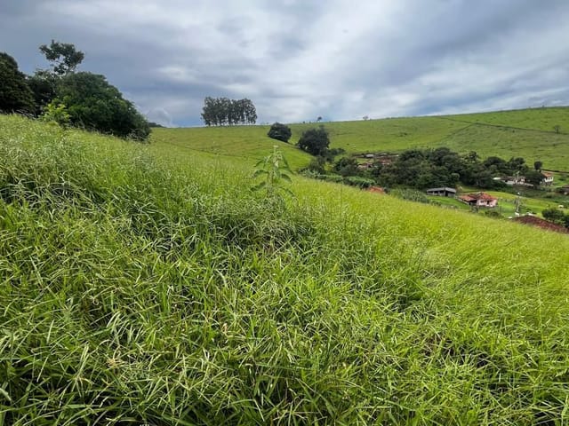 Terreno com 3000m², à venda, no bairro Água Branca em Cambuí