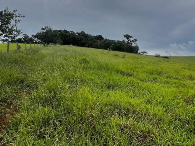 Terreno com 3000m², à venda, no bairro Água Branca em Cambuí