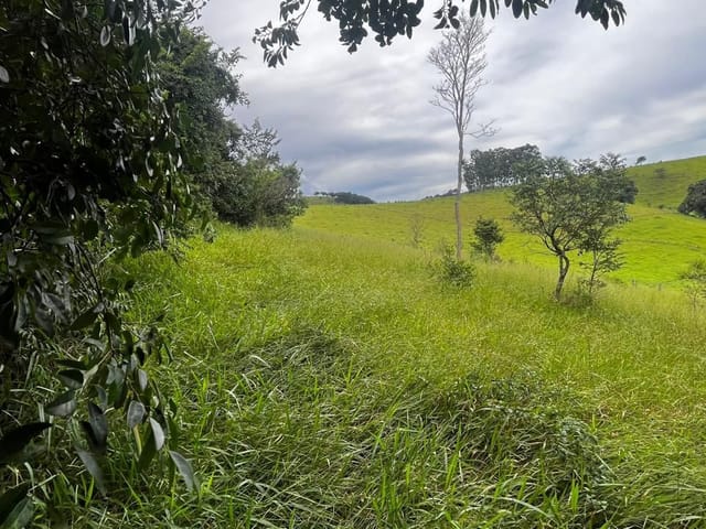 Terreno com 3000m², à venda, no bairro Água Branca em Cambuí