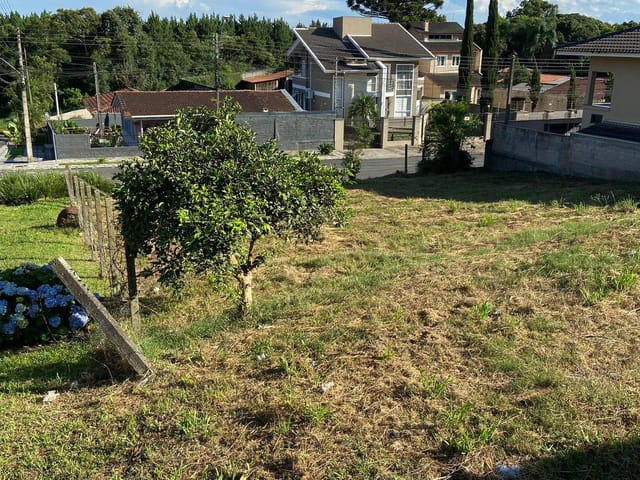 Foto do Terreno - Terreno à venda em excelente localizção, Vila Elizabeth, Campo Largo, PR | FABRIS LOCAÇÃO E VENDAS
