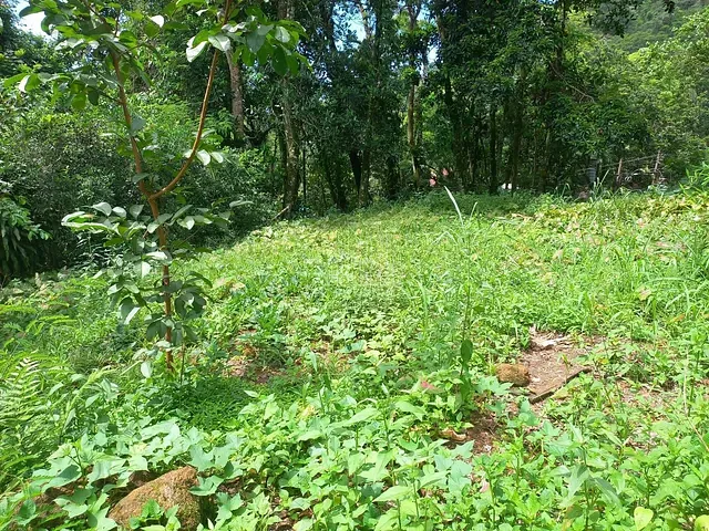 Terreno com 1100m², à venda, no bairro Monte Oliveti em Guapimirim