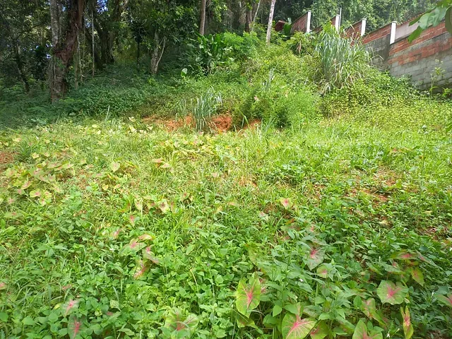 Terreno com 1100m², à venda, no bairro Monte Oliveti em Guapimirim