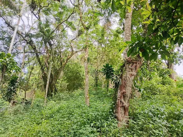 Terreno com 1100m², à venda, no bairro Monte Oliveti em Guapimirim