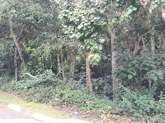Terreno com 915m², à venda, no bairro Recanto Suiço em Vargem Grande Paulista