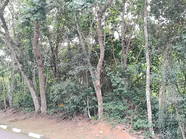 Terreno com 915m², à venda, no bairro Recanto Suiço em Vargem Grande Paulista
