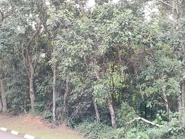 Terreno com 915m², à venda, no bairro Recanto Suiço em Vargem Grande Paulista
