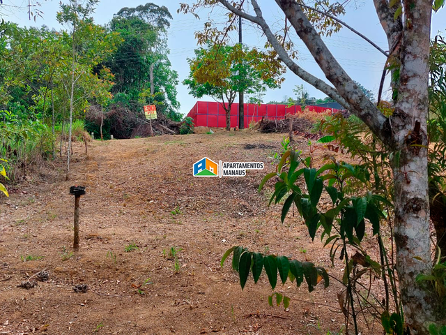 Foto do Terreno - Terreno Vila Suíça 200m² Tarumã | Apartamentos Manaus Imobiliária