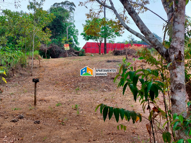 Foto do Terreno - Terreno Vila Suíça 200m² Tarumã | Apartamentos Manaus Imobiliária