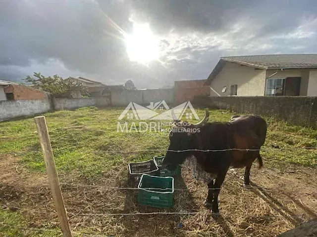 Terreno com 396m², à venda, no bairro Guarda do Cubatão em Palhoça
