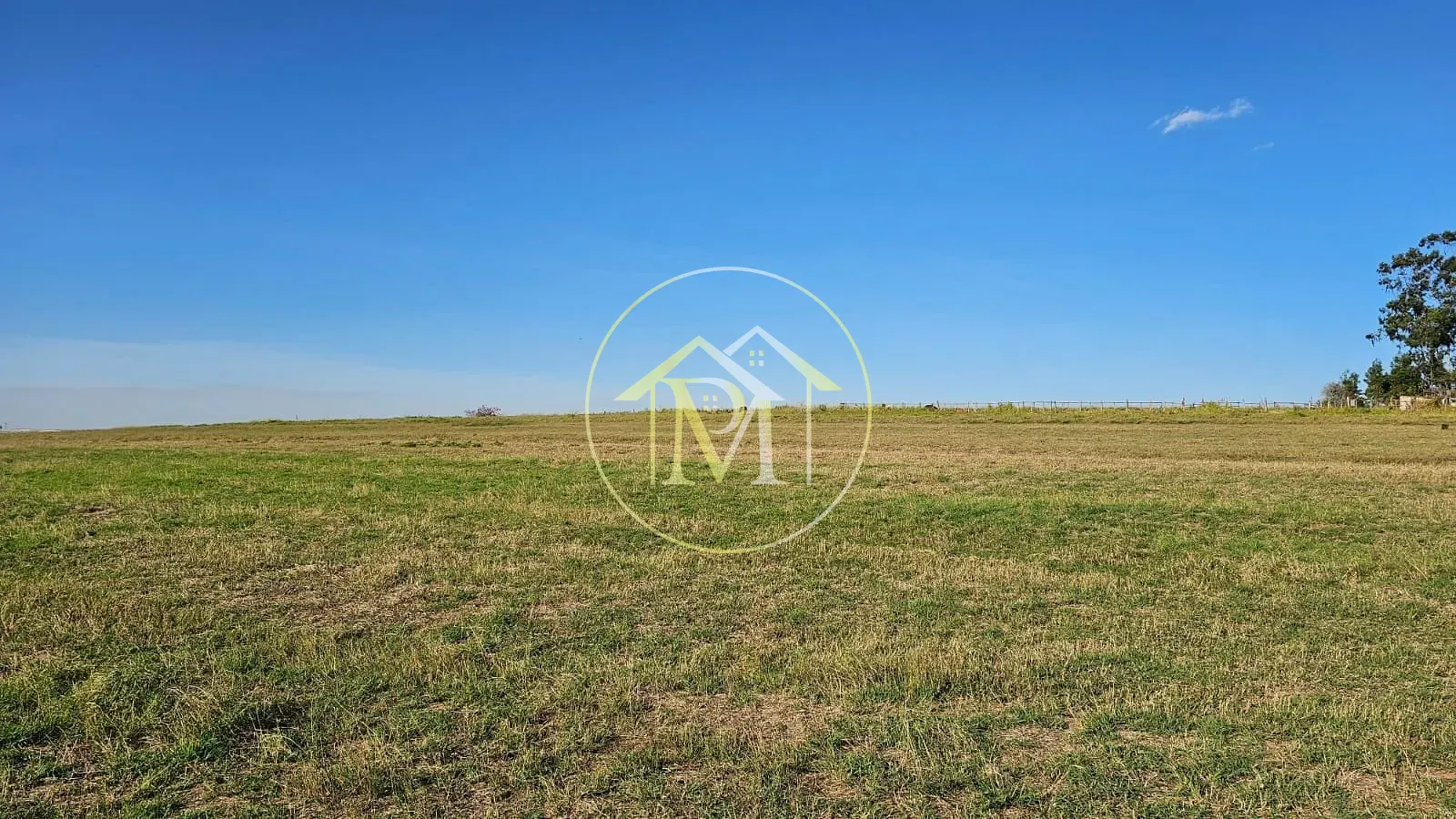 Terreno, 22 hectares - Foto 3