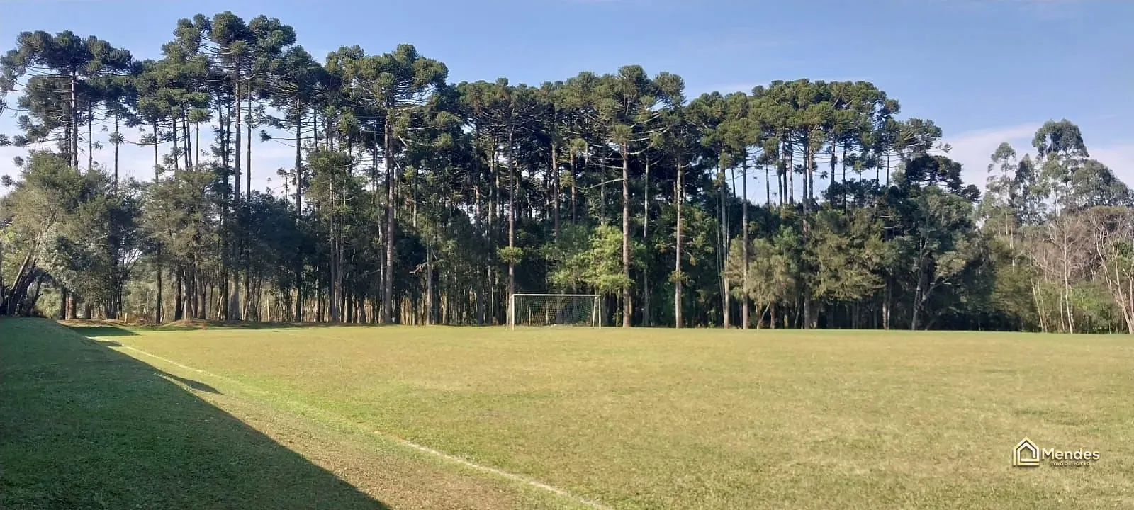 Terreno, 3 hectares - Foto 10
