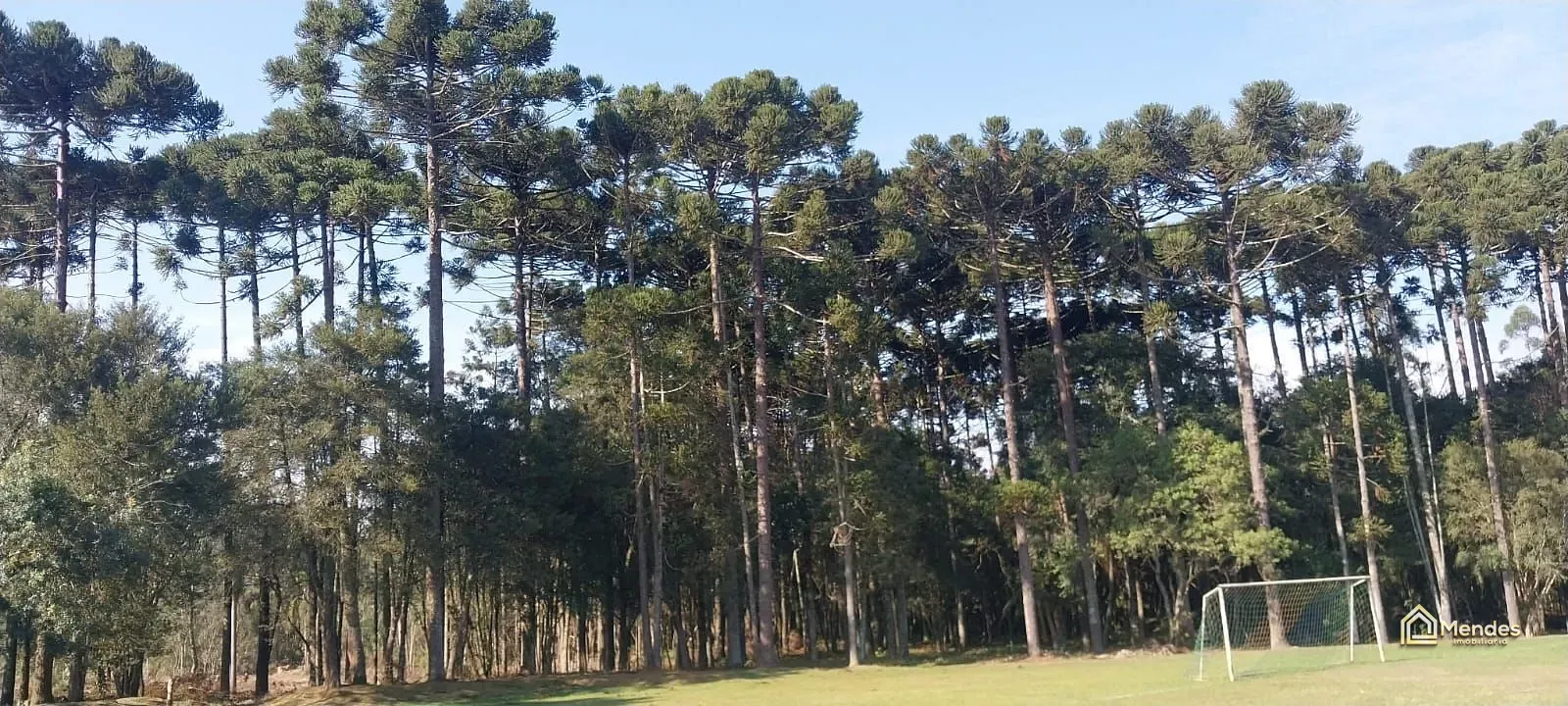 Terreno, 3 hectares - Foto 12