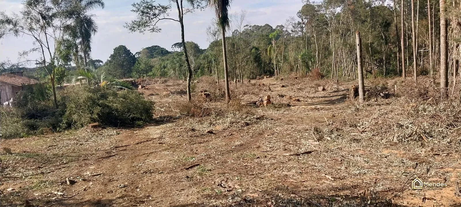 Terreno, 3 hectares - Foto 17