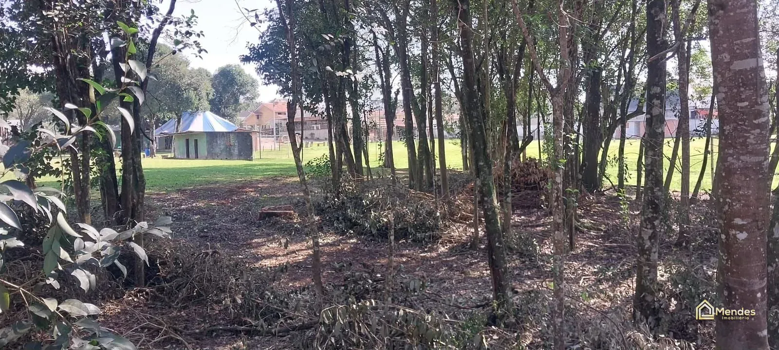 Terreno, 3 hectares - Foto 29