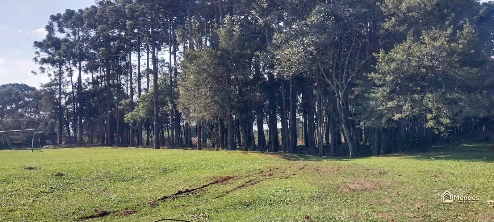 Terreno, 3 hectares - Foto 31