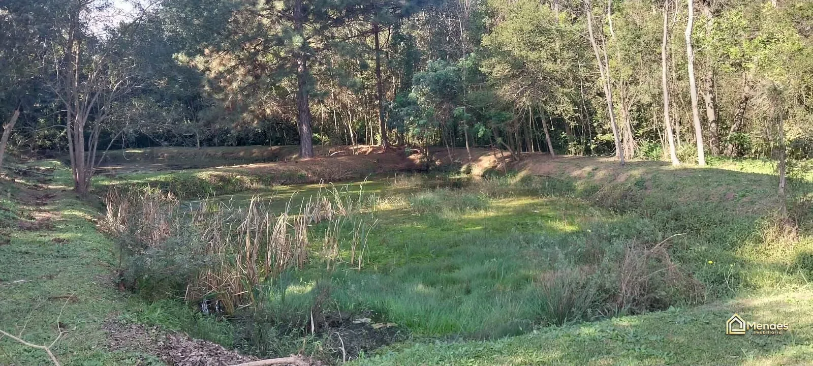 Terreno, 3 hectares - Foto 34