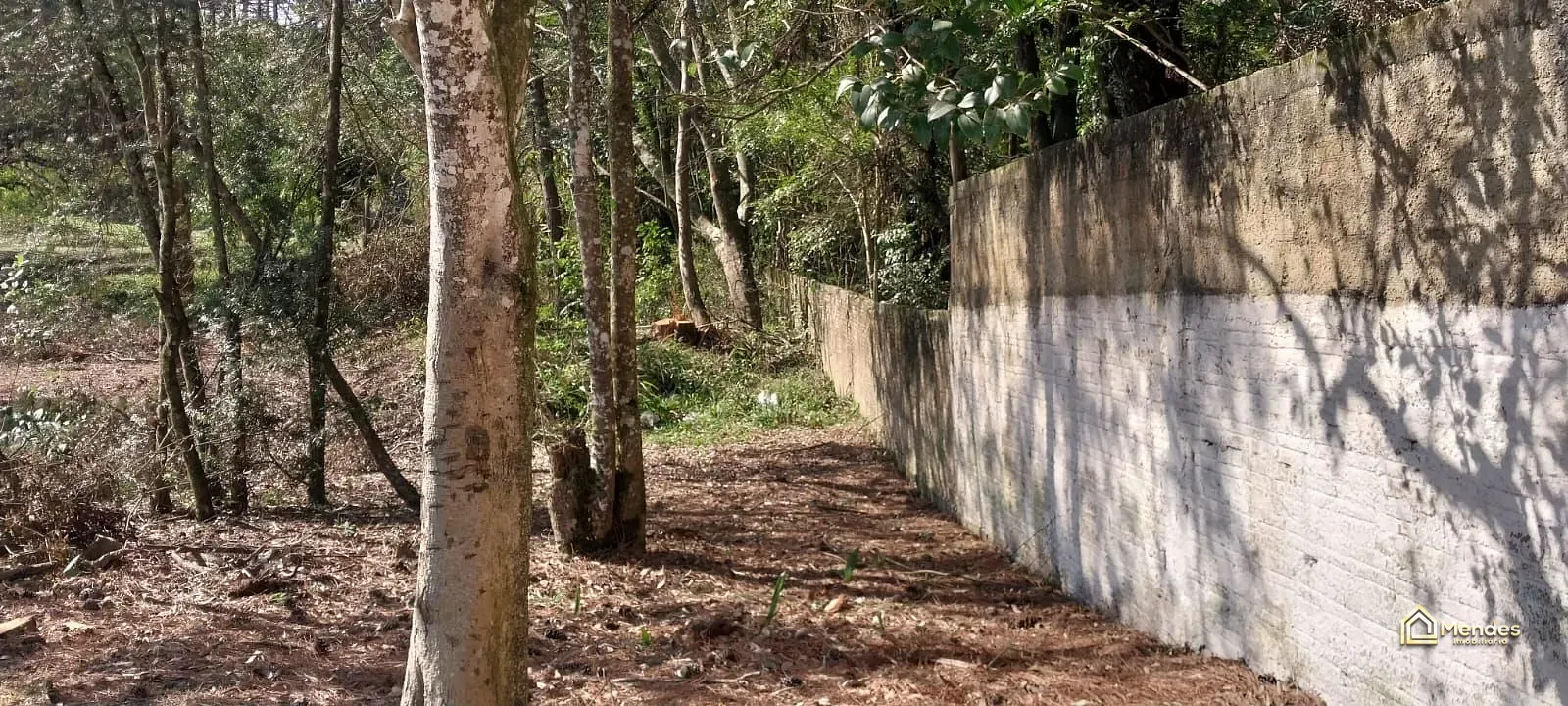 Terreno, 3 hectares - Foto 33