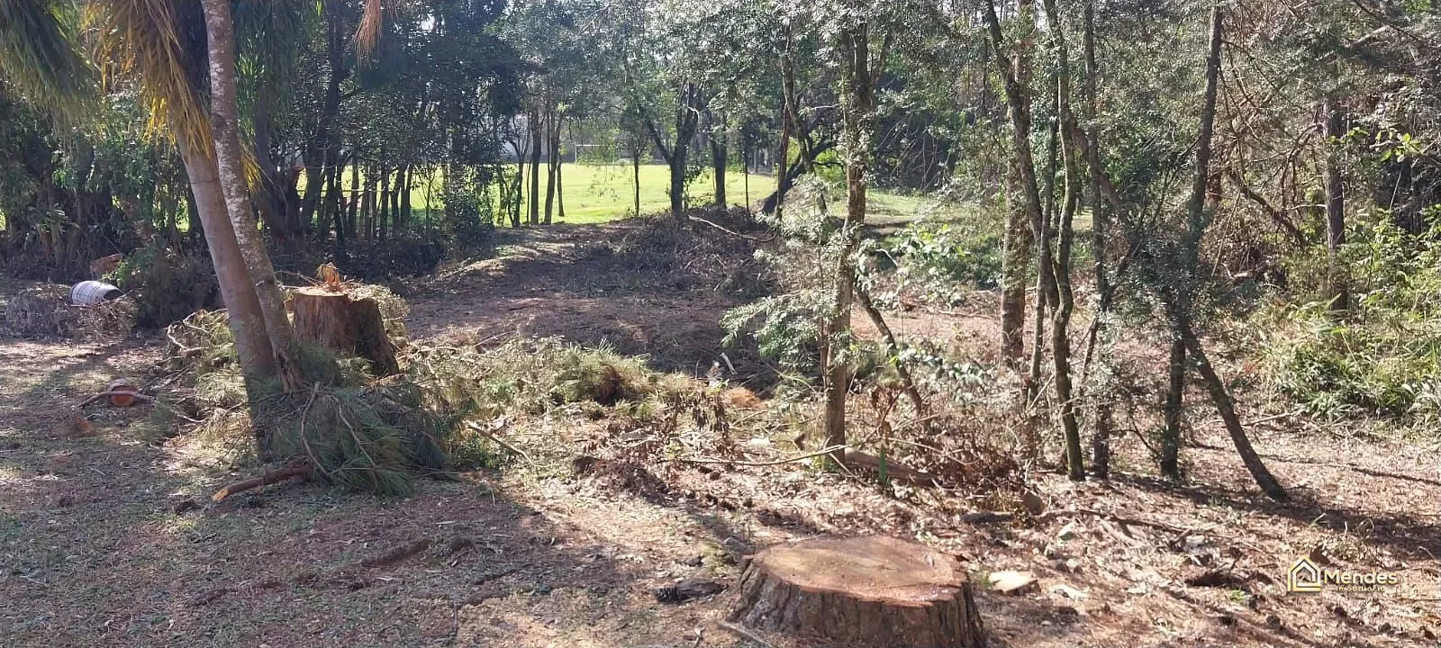 Terreno, 3 hectares - Foto 32