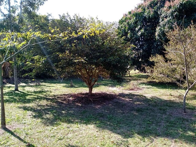 Terreno com 1414m², à venda, no bairro Ingleses do Rio Vermelho em Florianópolis