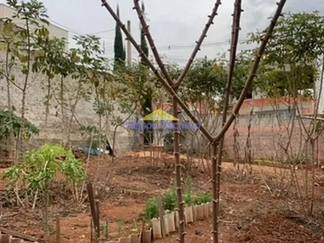 Terreno com 210m², à venda, no bairro Cardeal em Elias Fausto